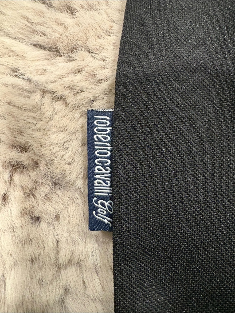 Roberto Cavalli Golf Embroidered Shirt - Picture 5 of 11
